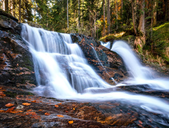 Sustainability & Environmental Compliance